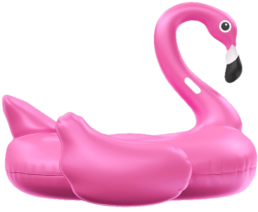 flamingo